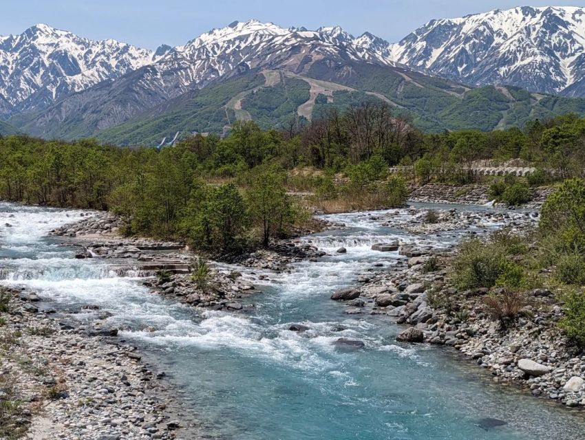 疲労回復の食事