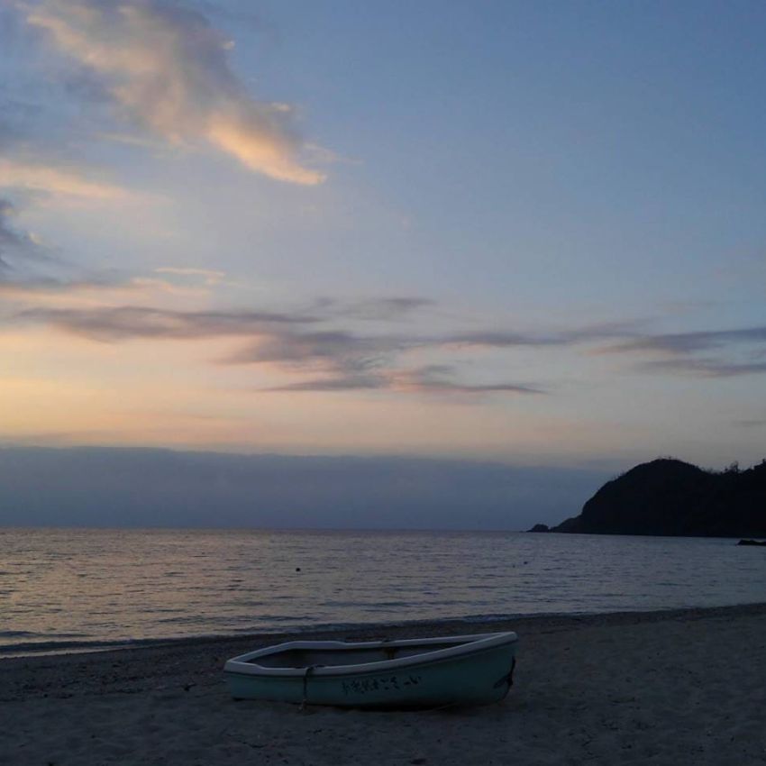 Columのご紹介　奄美大島の食養生　クサギ