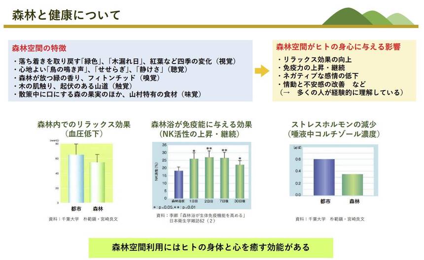 348606297 989883398670471 6969287415820999504 n