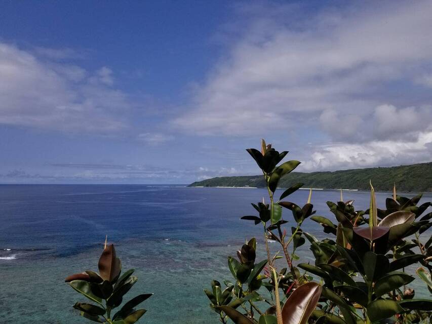 20240414 colum Amami 2