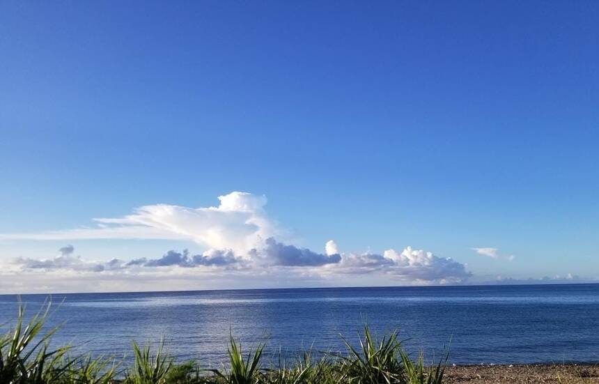 20240725 ikiteikite movie 3