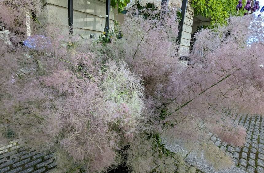 347400087 6428667100526390 4629318661276674901 n 3