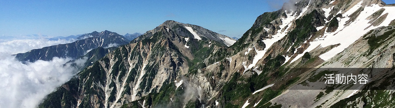 活動内容