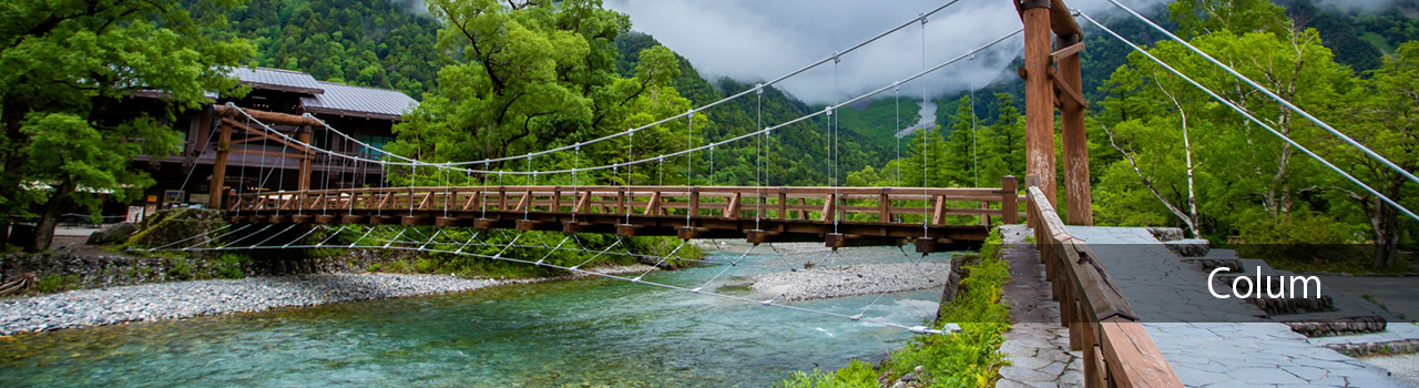 コラム