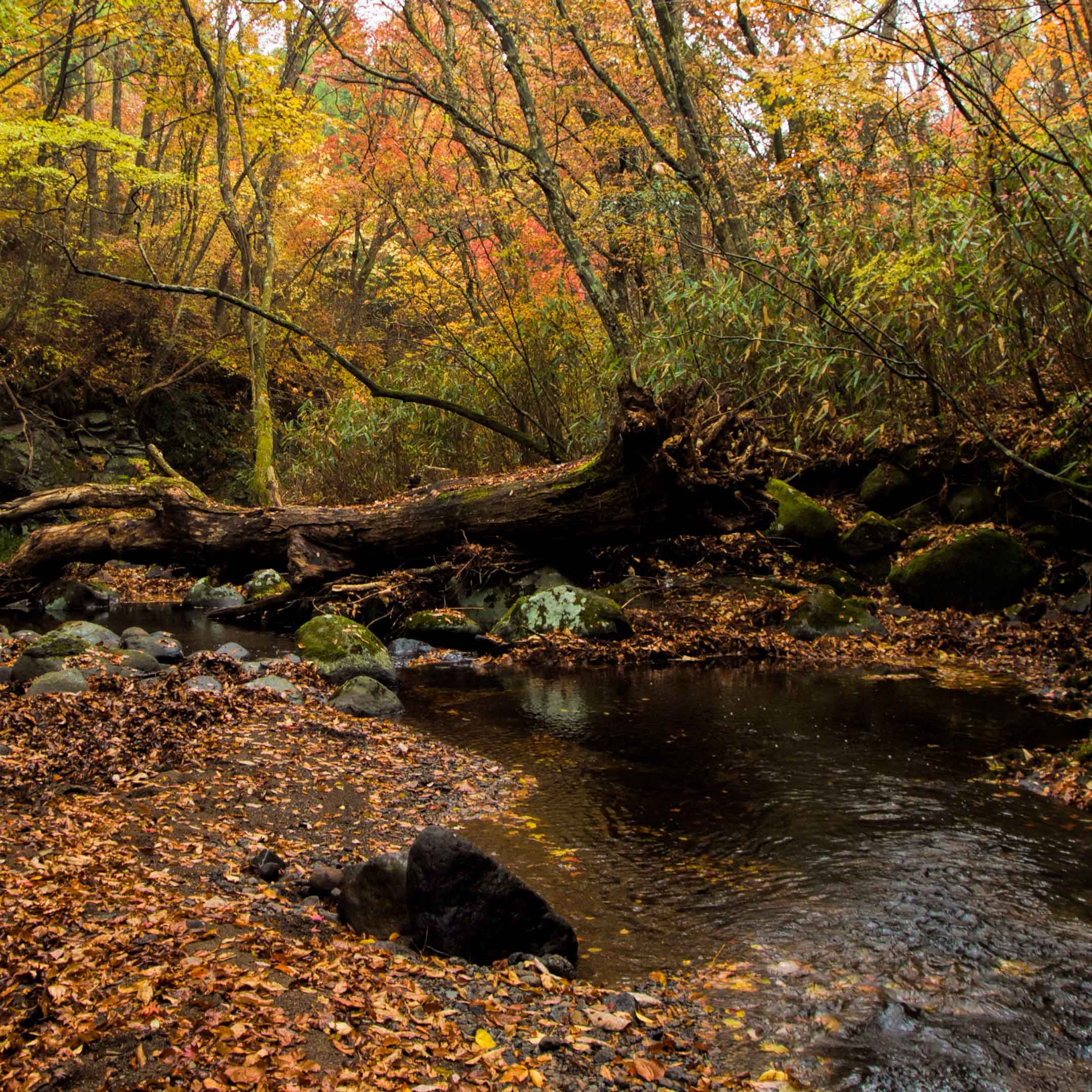 deltaworks007_mobile