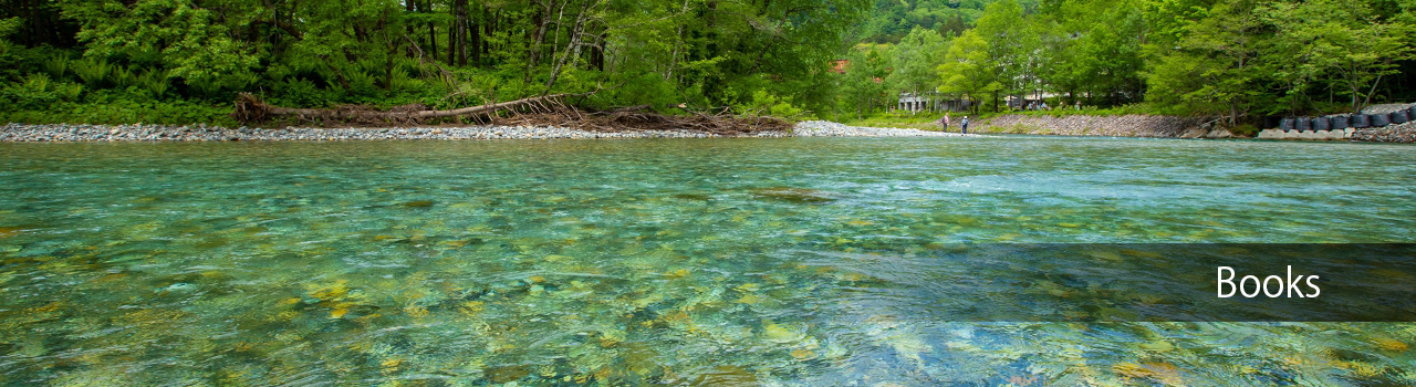 Articles Library title